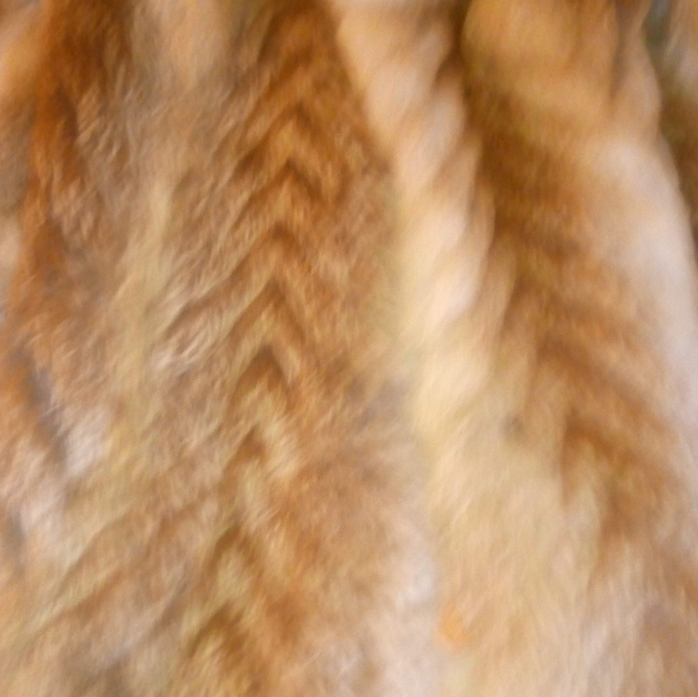 Fox Fur